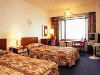 Hikone View Hotel Exterior foto